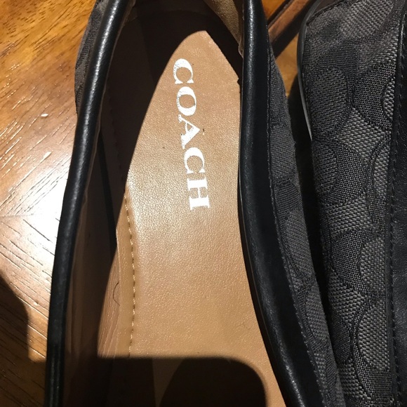 Coach - Picture 5 of 7